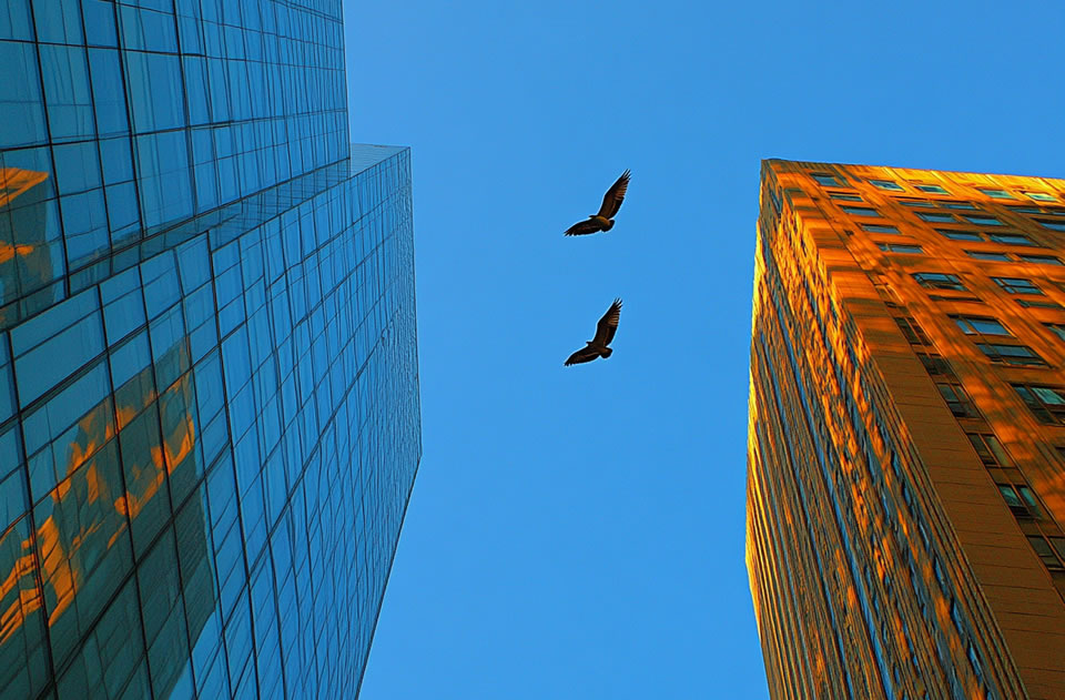 河南洛陽多銘光電科技有限公司 河南洛陽多銘光電科技有限公司